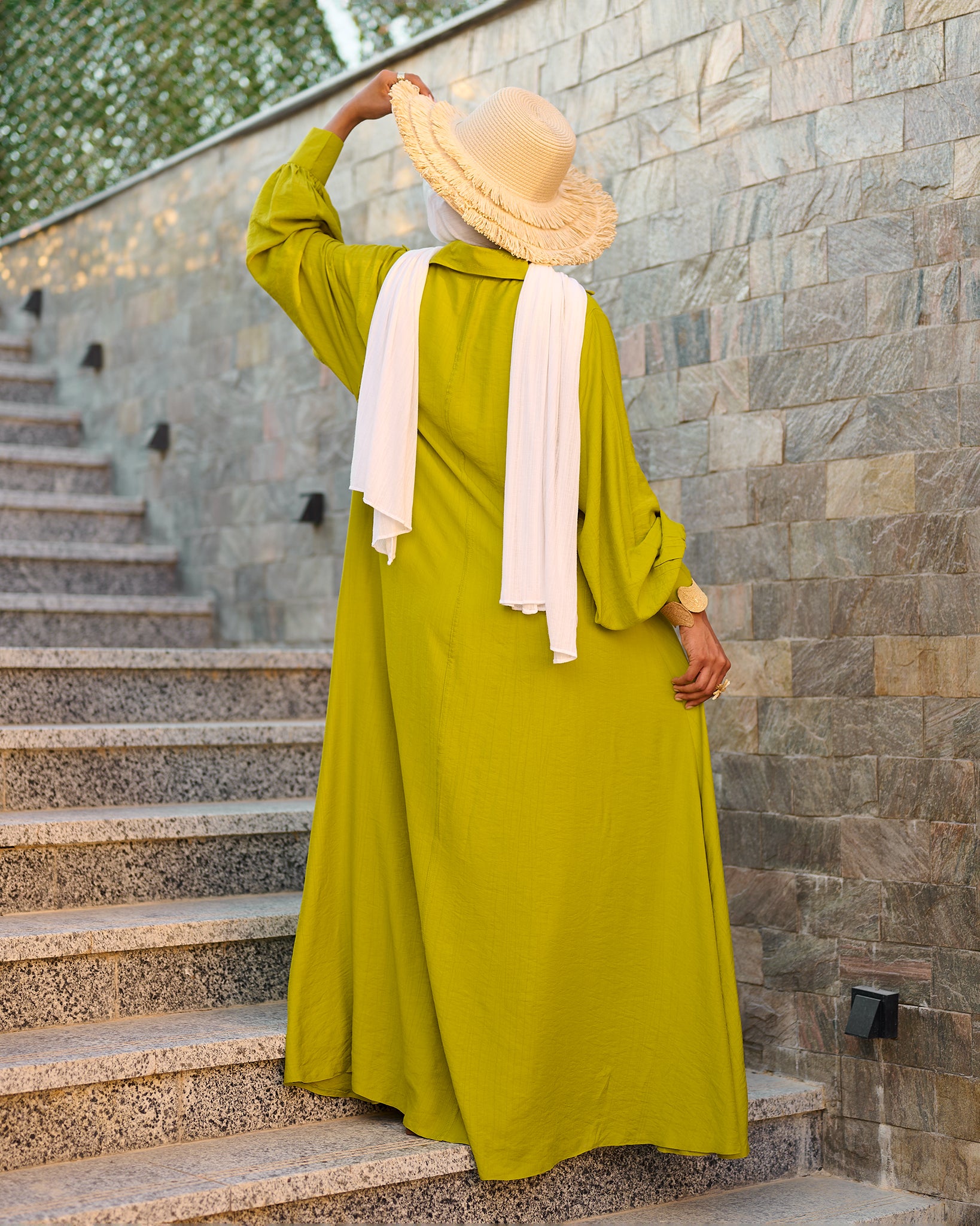 Elegance dress